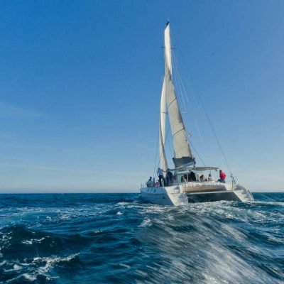 catamaran-rental-around-barcelona-with-snorkeling-9