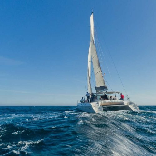 catamaran-rental-around-barcelona-with-snorkeling-9